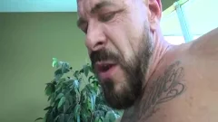 When A Fairytale Becomes A cock Tale