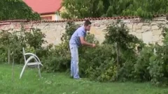 wild gay chap Sucks Boyfriends weenie And bonks Him In The anal