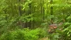 Two handsome studs engulf One another Off In The Woods