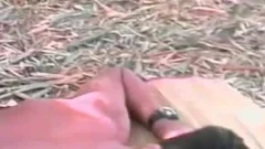 Outdoor bunch sex