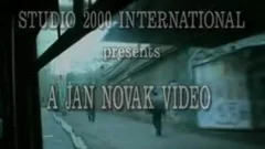 Euro fellows