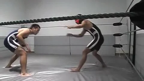 Wresle Fac Hero