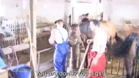 Tough cock
