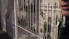 Latino Fanboy Sucks A Cameramans dick