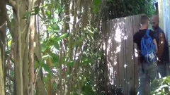 Redneck Sucks Mechanic