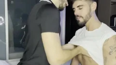 stud-horse And Valentin