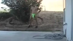 Fucks in the ass video
