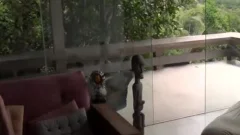 Hard fucking From Kitchen To Bedroom