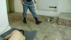 Dog training