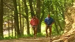 Hunky Muscle Sharks groupplow booty In Tthis chab Woods