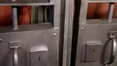 J*ilhouse fun