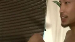 asian gays pretty Copulation