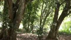 Freaky Outdoor Sex