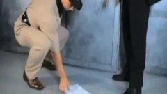 BatRob