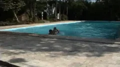 Brazilian Moves