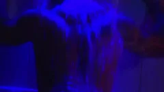 bare moist Dream