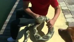 he Wasn't Ready For The black Mamba