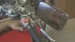 Two Bears bang suck And Rim