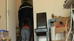  Unfotgetable Constable\t\t\t\t\t