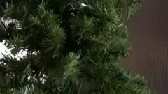 Stepson Giving daddy Some Christmas Joy