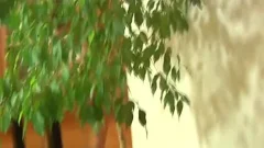 Having sex for cash