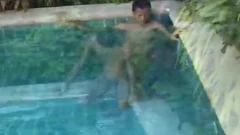 Bird By The Pool