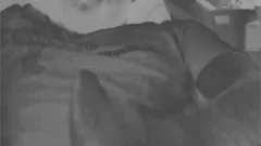 Bear humongous chubby penis Hard jerk off With Tenga Egg Masturbator