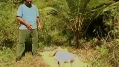 large knob Delights - Scene 1 - Pacific Sun Entertainment