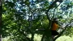 penis loving tree huggers