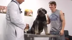 Woof Woof