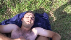 Hairy Havoc in the Woods