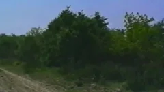 00D407DF01EE Euri