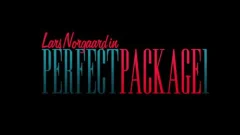 ideal Package - Lars Norgaard