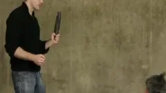 Puppy Training