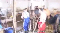 Tough cock
