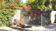 black  Muscle Machine 1 And 2 - Scene 1 - Pacific Sun go intotainguyst