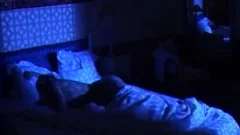 F.R.E.N.C.H.I.E.S 2