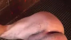 Muscle dudes receive delicious In Shower