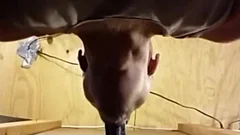 Suckin This attractive Boi's BBC And Lovin His big Low Hangin Nuts