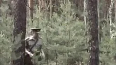 Fallen Comrade