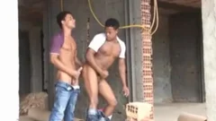 Brazil homo 3