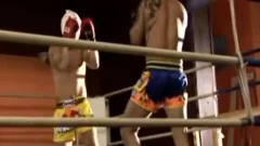 Knockout Sc3