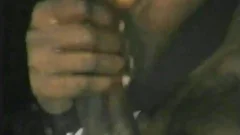 Hung Like A stallion