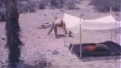 fine For cash (1974) Complete clip