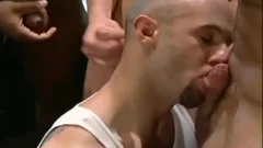 Pornstars orgy