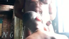 Pisandreams And Risque