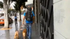 Skank fetish plowed hard in the street