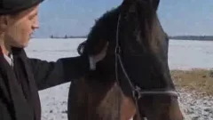 Army fuckers
