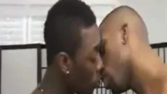 Markell&dark Flip