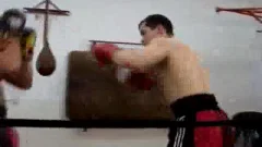Boxers fucking
